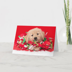 Golden Retriever Puppy Christmas Card Karte