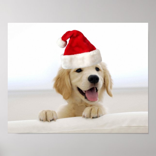 Golden Retriever Puppy Christmas Poster (Vorne)