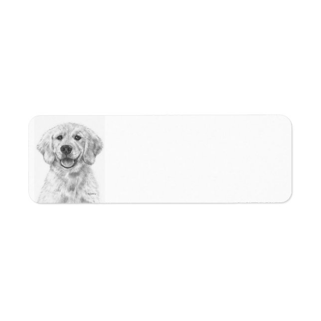 Golden Retriever Puppy Cody (Vorne)