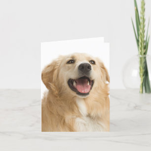 Golden Retriever Puppy Dog Blank Greeting Notecard Karte