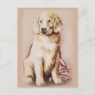 Golden Retriever Puppy Dog Portrait zeichnend Postkarte