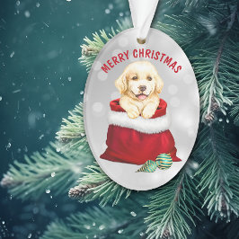 Golden Retriever Puppy Dog Überraschung Ornament