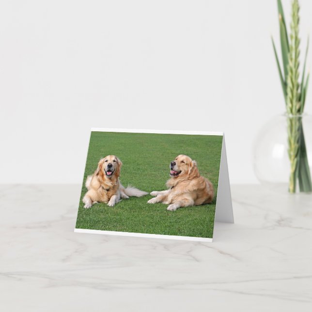 Golden Retriever Puppy Dose Blank Karte (Vorderseite)