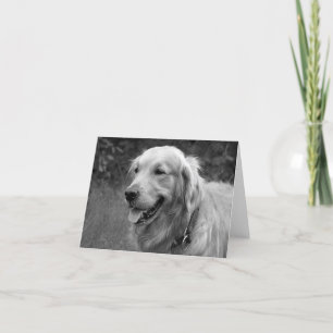 Golden Retriever Puppy Dose Blank Karte