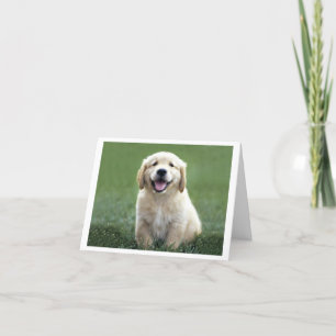 Golden Retriever Puppy Dose Blank Karte
