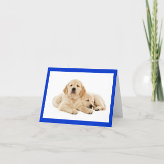Golden Retriever Puppy Dose Blank Note Card Karte