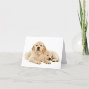 Golden Retriever Puppy Dose Blank Note Card Karte
