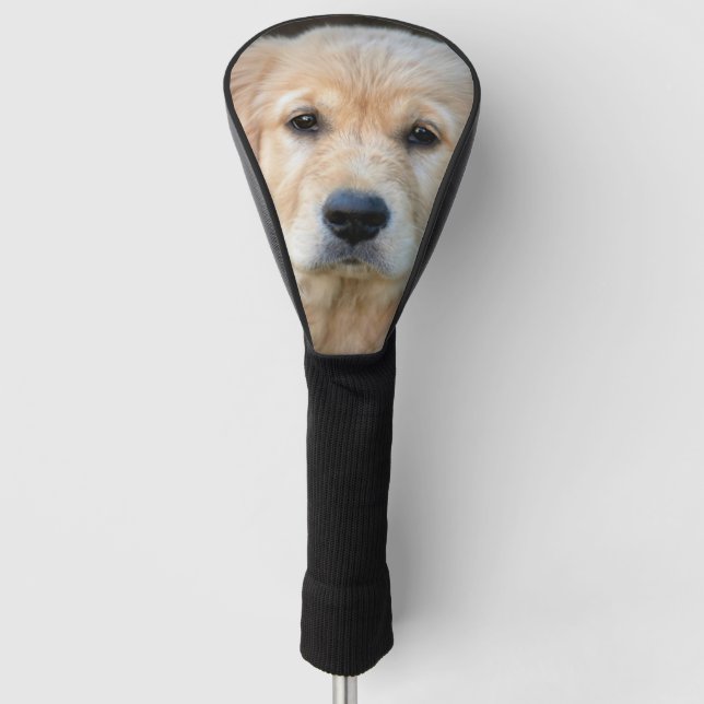 Golden Retriever Puppy Golf Headcover (Vorderseite)