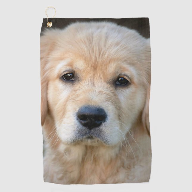 Golden Retriever Puppy Golfhandtuch (Vorderseite)