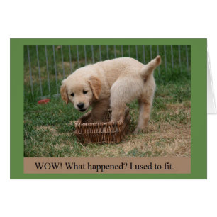 Golden Retriever Puppy Ground up Funny Card