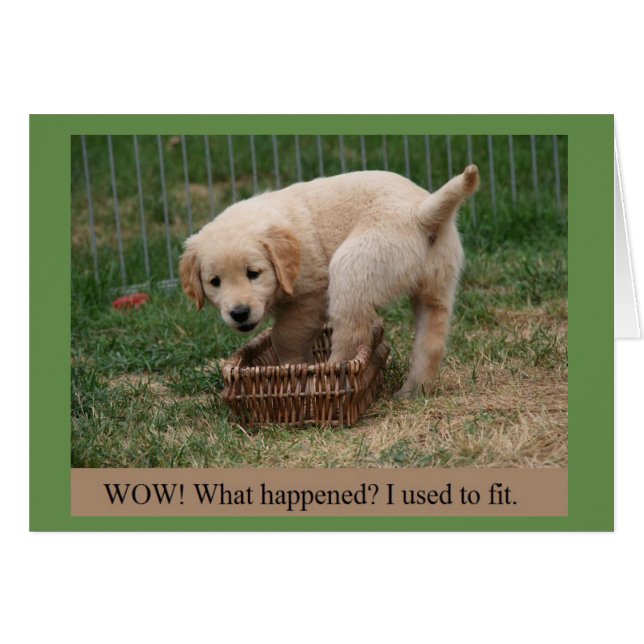 Golden Retriever Puppy Ground up Funny Card (Vorderseite (Horizontal))