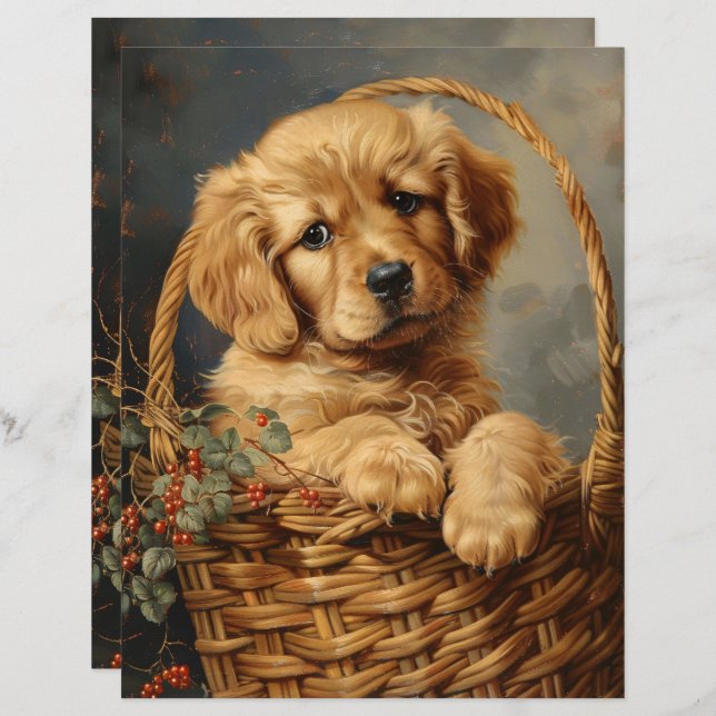 Golden Retriever Puppy in einem Korb-Scrapbook (Vorne/Hinten)