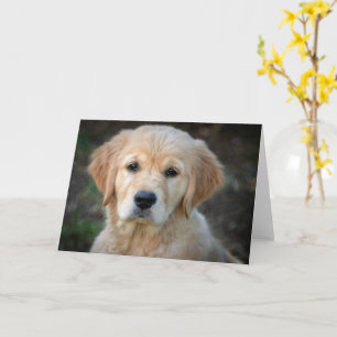 Golden Retriever Puppy Karte