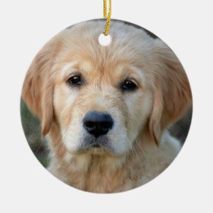 Golden Retriever Puppy Keramik Ornament