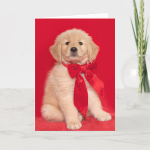 Golden Retriever Puppy Merry Woofin Weihnachten Karte