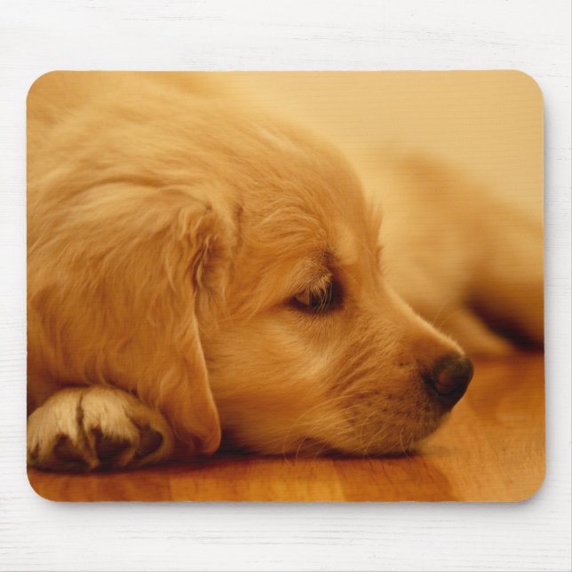 Golden Retriever Puppy Mousepad (Vorne)