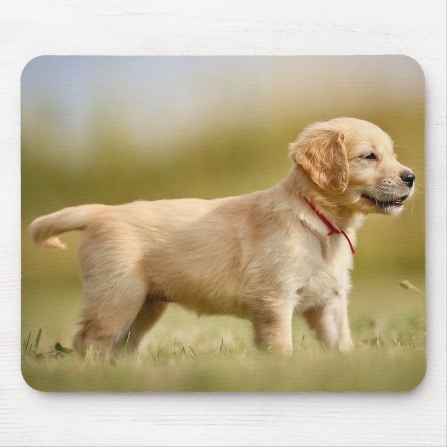 Golden Retriever Puppy Mousepad (Vorne)