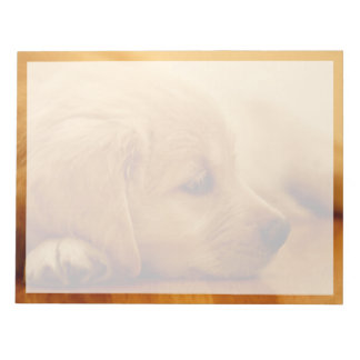 Golden Retriever Puppy Notizblock