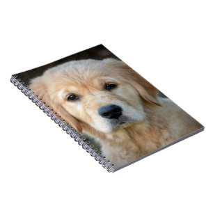 Golden Retriever Puppy Notizblock