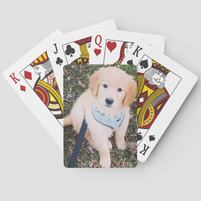 Golden Retriever Puppy Playing Cards Spielkarten (Rückseite)