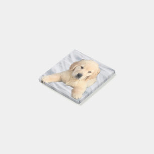 Golden Retriever Puppy Post - Anmerkungen Post-it Klebezettel