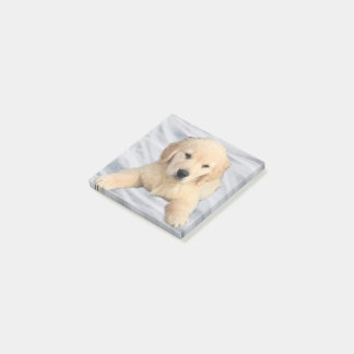 Golden Retriever Puppy Post - Anmerkungen Post-it Klebezettel