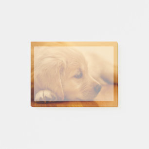 Golden Retriever Puppy Post-it Klebezettel