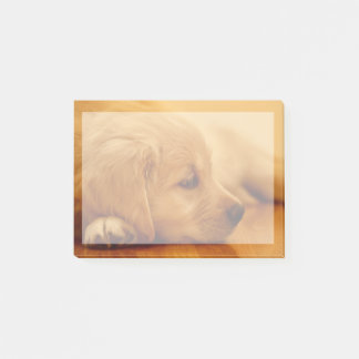 Golden Retriever Puppy Post-it Klebezettel