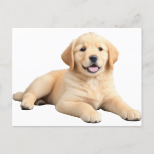 Golden Retriever Puppy Postkarte