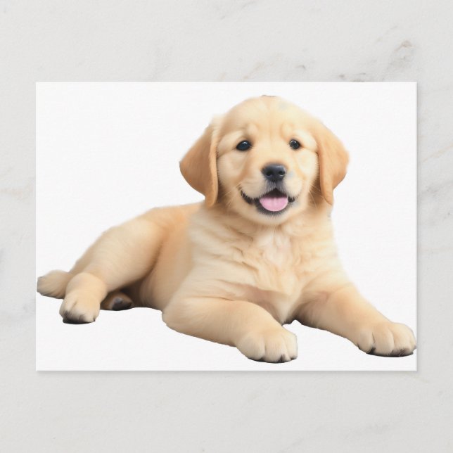 Golden Retriever Puppy Postkarte (Vorderseite)