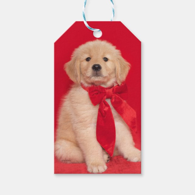 Golden Retriever Puppy Red Ribbon Geschenkanhänger (Vorderseite)