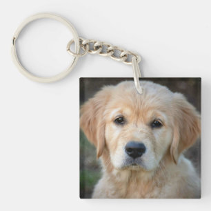Golden Retriever Puppy Schlüsselanhänger