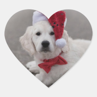 Golden Retriever Puppy Sticker
