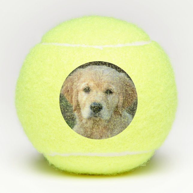 Golden Retriever Puppy Tennisbälle (Vorderseite)
