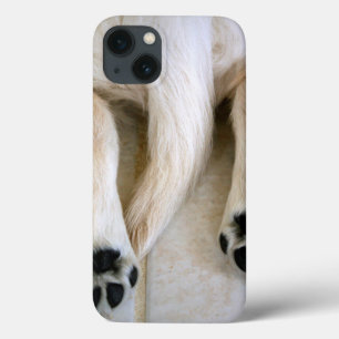 Golden Retriever Puppy Toes Case-Mate iPhone Hülle
