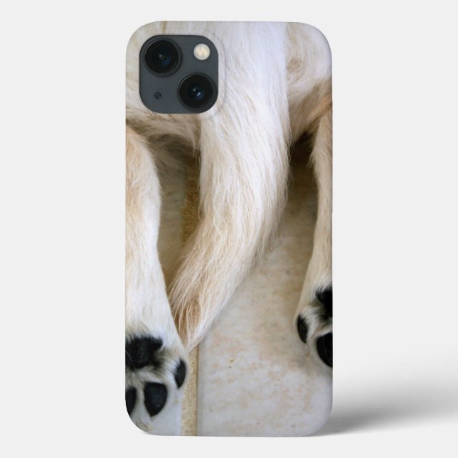Golden Retriever Puppy Toes Case-Mate iPhone Hülle (Rückseite)