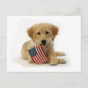 Golden Retriever Puppy und Flag Postkarte