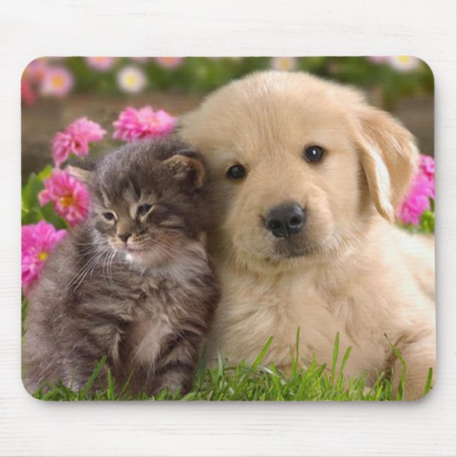 Golden Retriever Puppy und Kitten Mouse Pad Mousepad (Vorne)