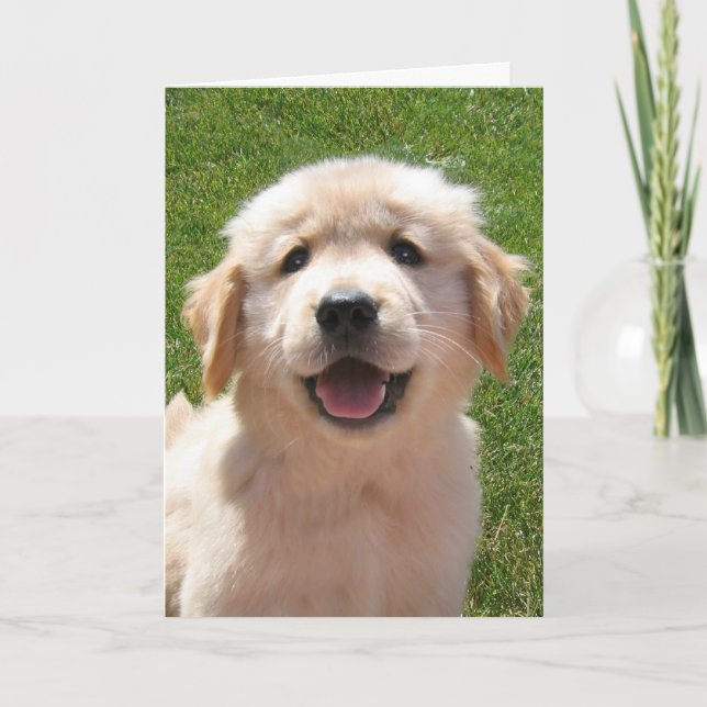 Golden Retriever Puppy Vatertag Card Karte (Vorderseite)