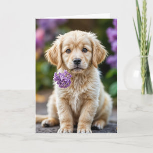 Golden Retriever Puppy zum Geburtstag mit Lilacs Karte