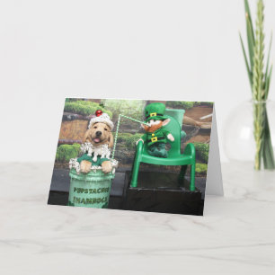 Golden Retriever Pupstachio Shake St. Patty's Day Feiertagskarte