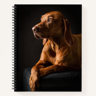 Golden Retriever Purebred Portrait Notizbuch