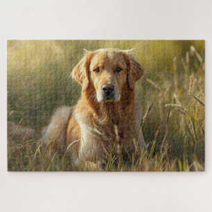 Golden Retriever Puzzle