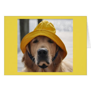 Golden Retriever Rainday Geburtstagskarte