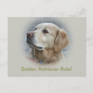 Golden Retriever Regel! -Karte Postkarte