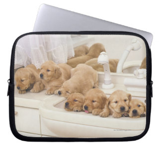 Golden Retriever, relativ modern und 2 Laptopschutzhülle