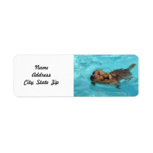 Golden Retriever Return Address Label, Swim