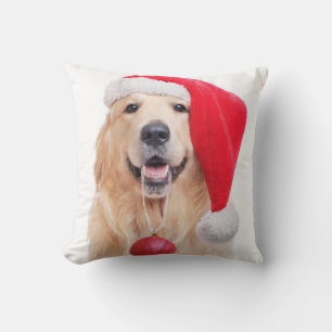 Golden Retriever Santa Kissen