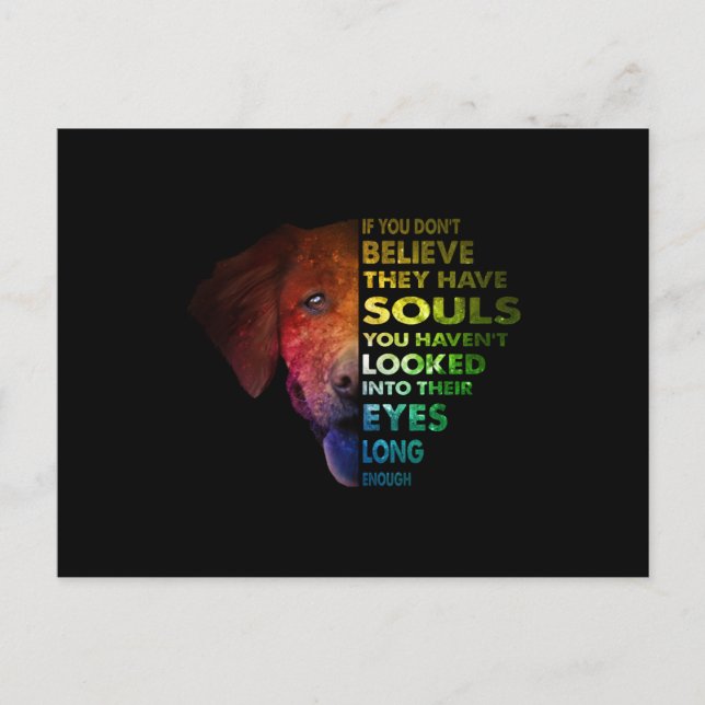 Golden Retriever schaute lange genug in ihr Auge Postkarte (Vorderseite)