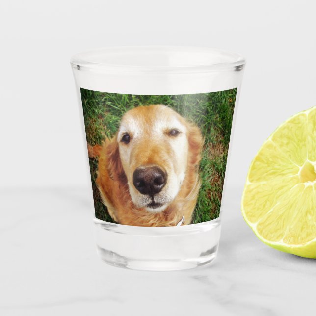 Golden Retriever Schnapsglas (Vorderseite)